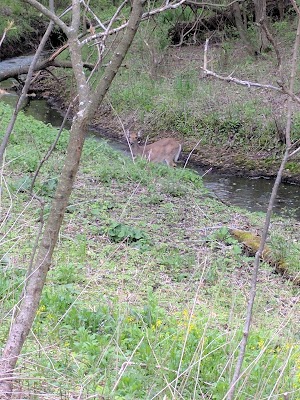 Purgatory Park - photo 78