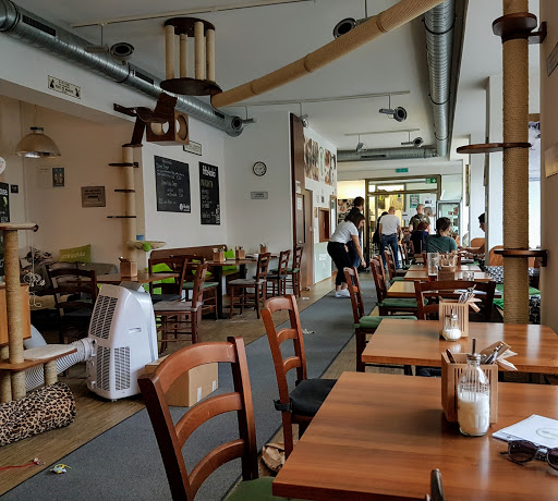 Coworking cafe in Nuremberg