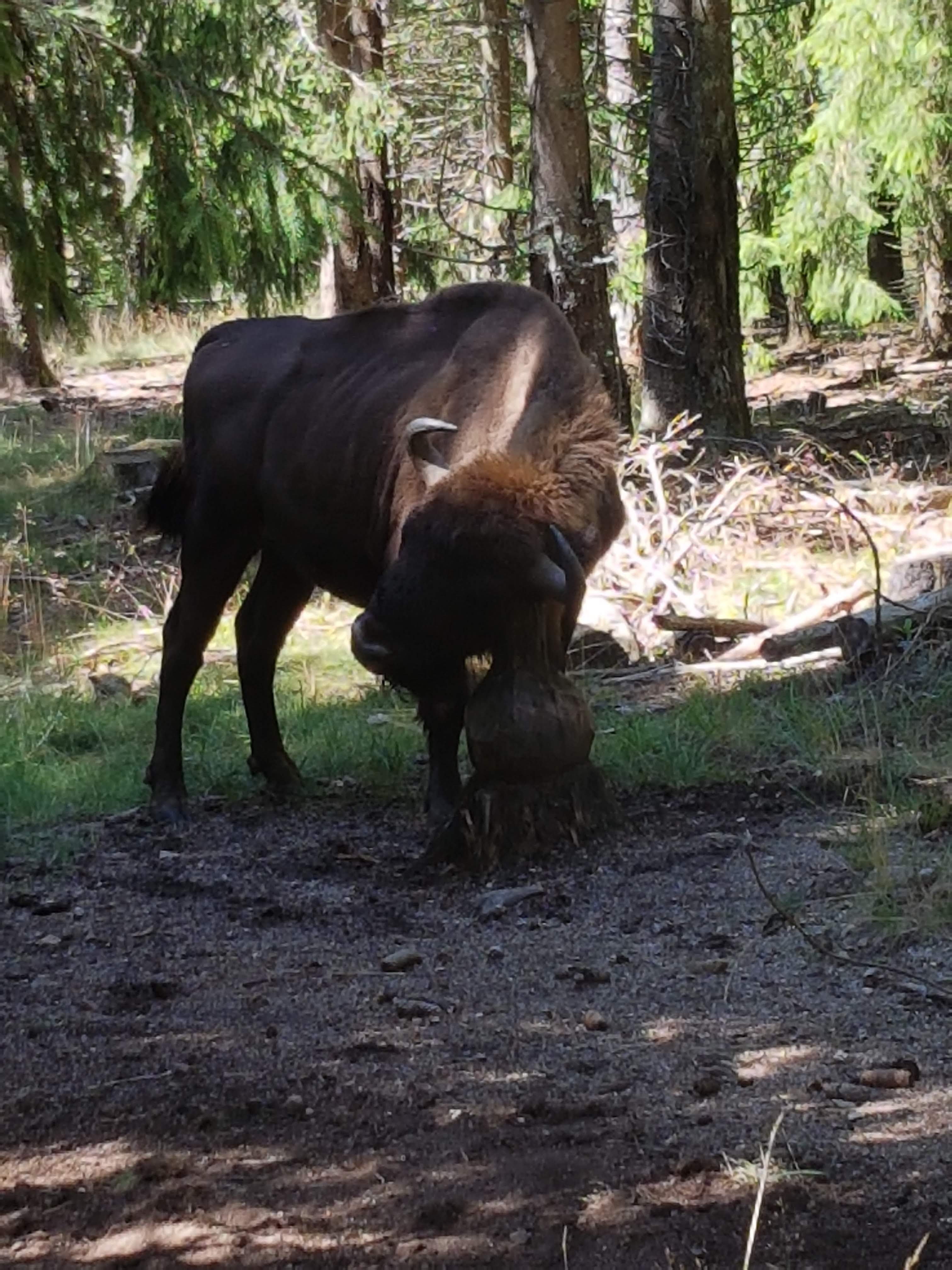 Photo n° 4 de l'avis de Paul.R fait le 17/08/2018 à 14:46