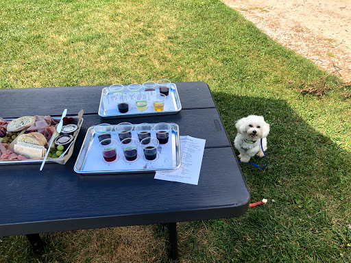 Winery «Fenn Valley Vineyards», reviews and photos, 6130 122nd Ave, Fennville, MI 49408, USA