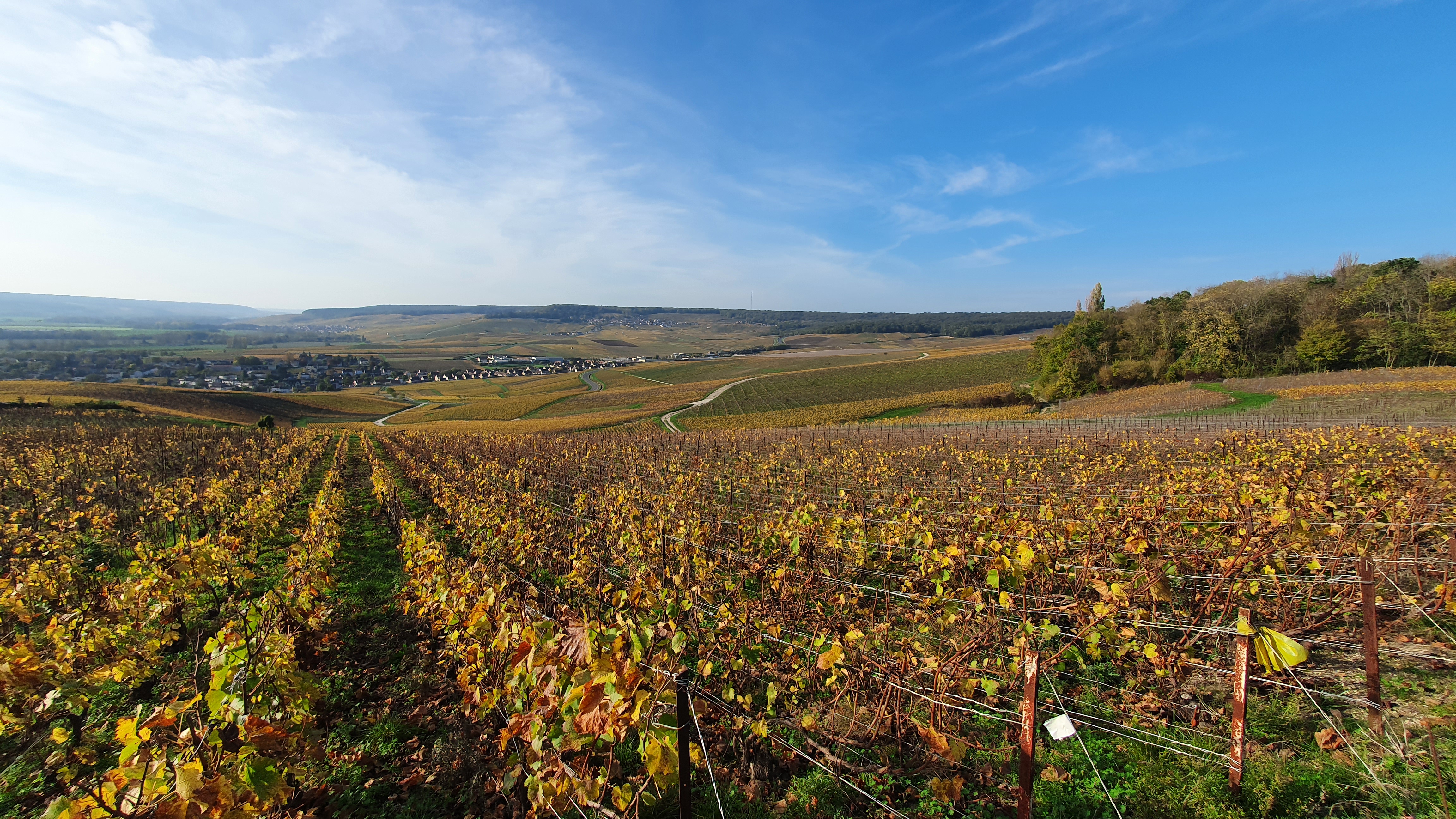 Photo n° 4 de l'avis de Vincenzo.a fait le 02/11/2022 à 17:18
