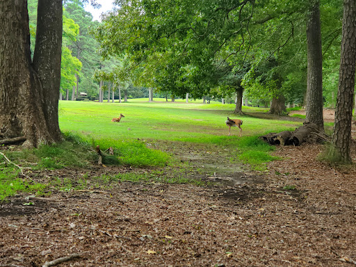 Golf course Newport News