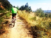 RiojaTours - Bike Rental Logroño en Logroño