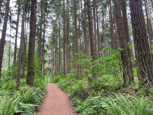 State Park «Bridle Trails State Park», reviews and photos, 5300 116th Ave. N.W., Kirkland, WA 98033, USA
