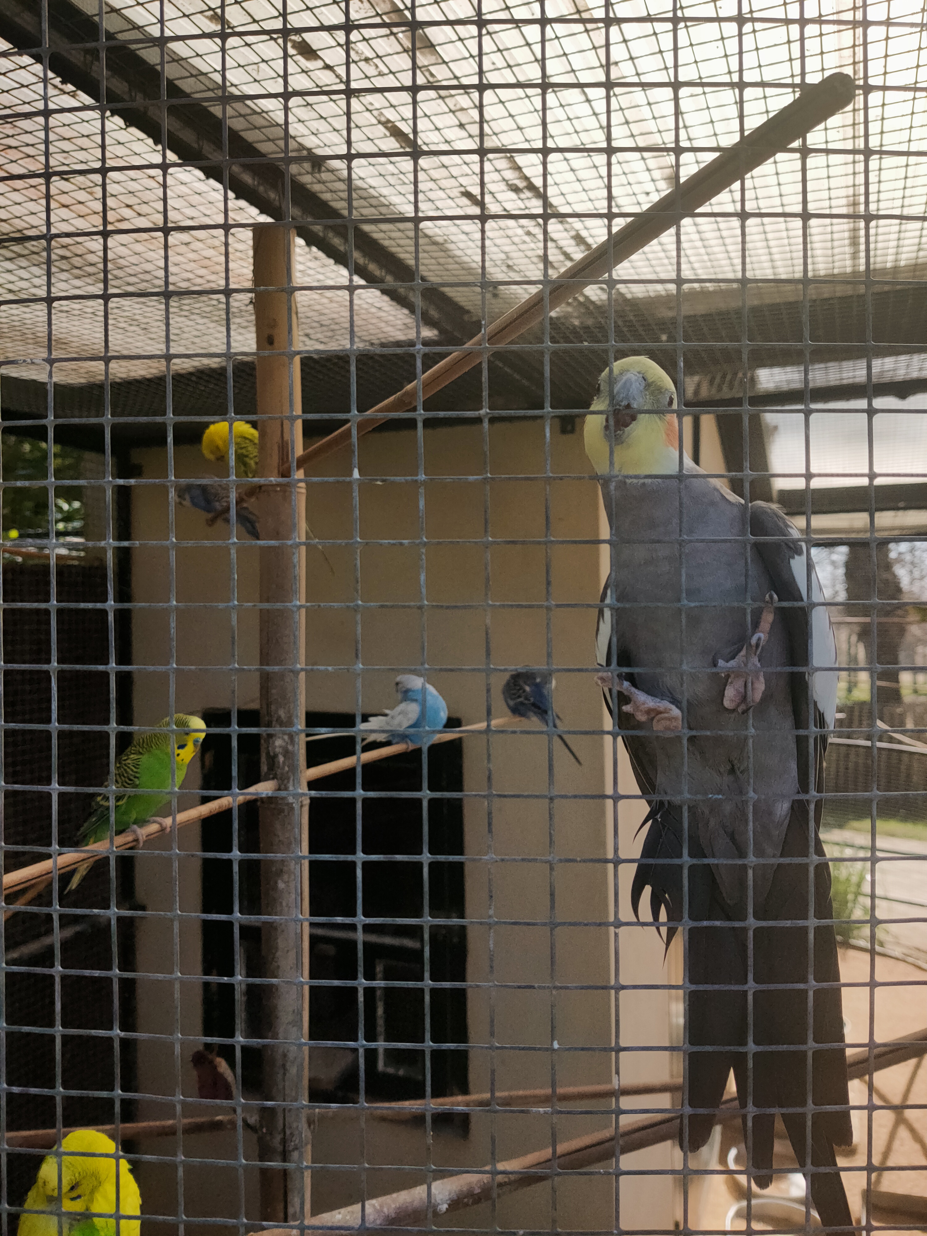 Photo n° 4 de l'avis de Johan.a fait le 10/04/2021 à 15:16