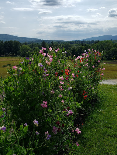 Florist «Carrolls Florist of Beverly», reviews and photos, 385 Cabot St, Beverly, MA 01915, USA