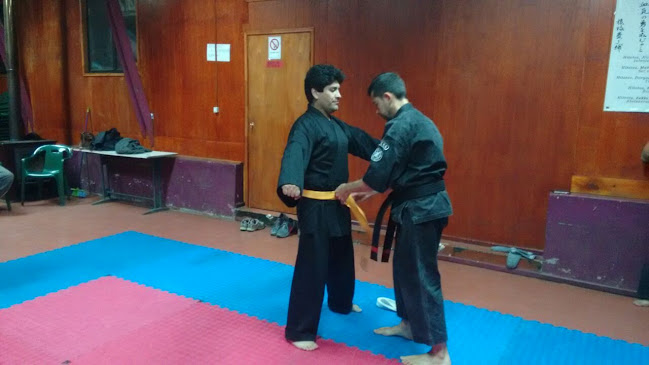 American Kenpo Coyhaique - Coyhaique