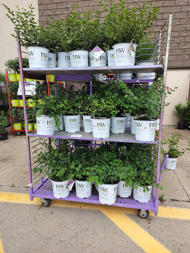 Home Improvement Store «The Home Depot», reviews and photos, 700 Reed Rd, Broomall, PA 19008, USA