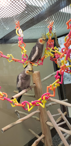 Pet Supply Store «Petco Animal Supplies», reviews and photos, 1 US-46, Totowa, NJ 07512, USA