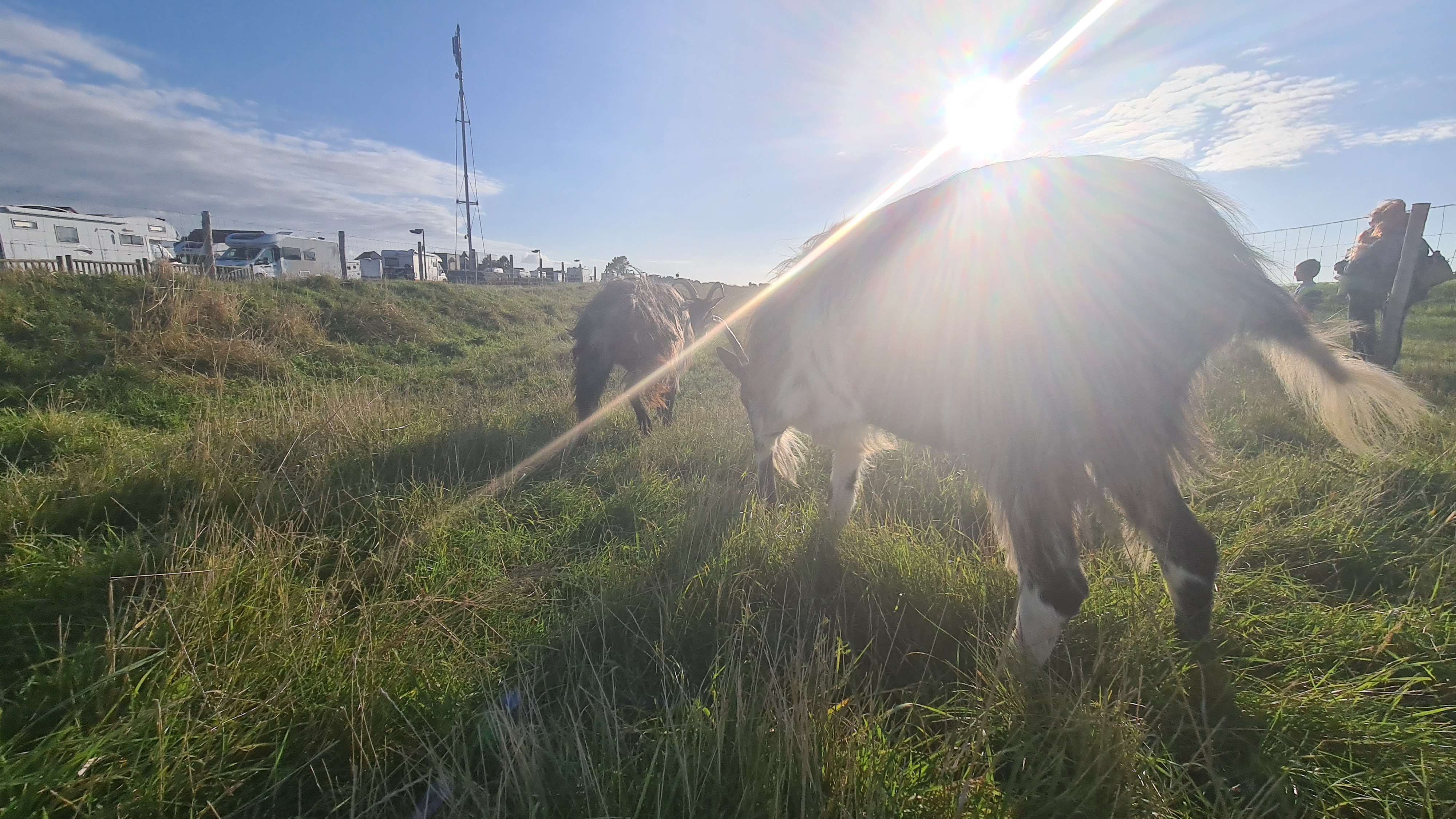 Photo n° 1 de l'avis de Stéphane.a fait le 29/08/2021 à 20:56