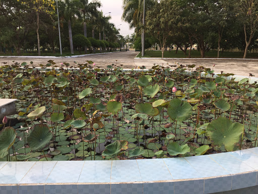 Top 20 cửa hàng phương nam Thị xã AYun Pa Gia Lai 2022