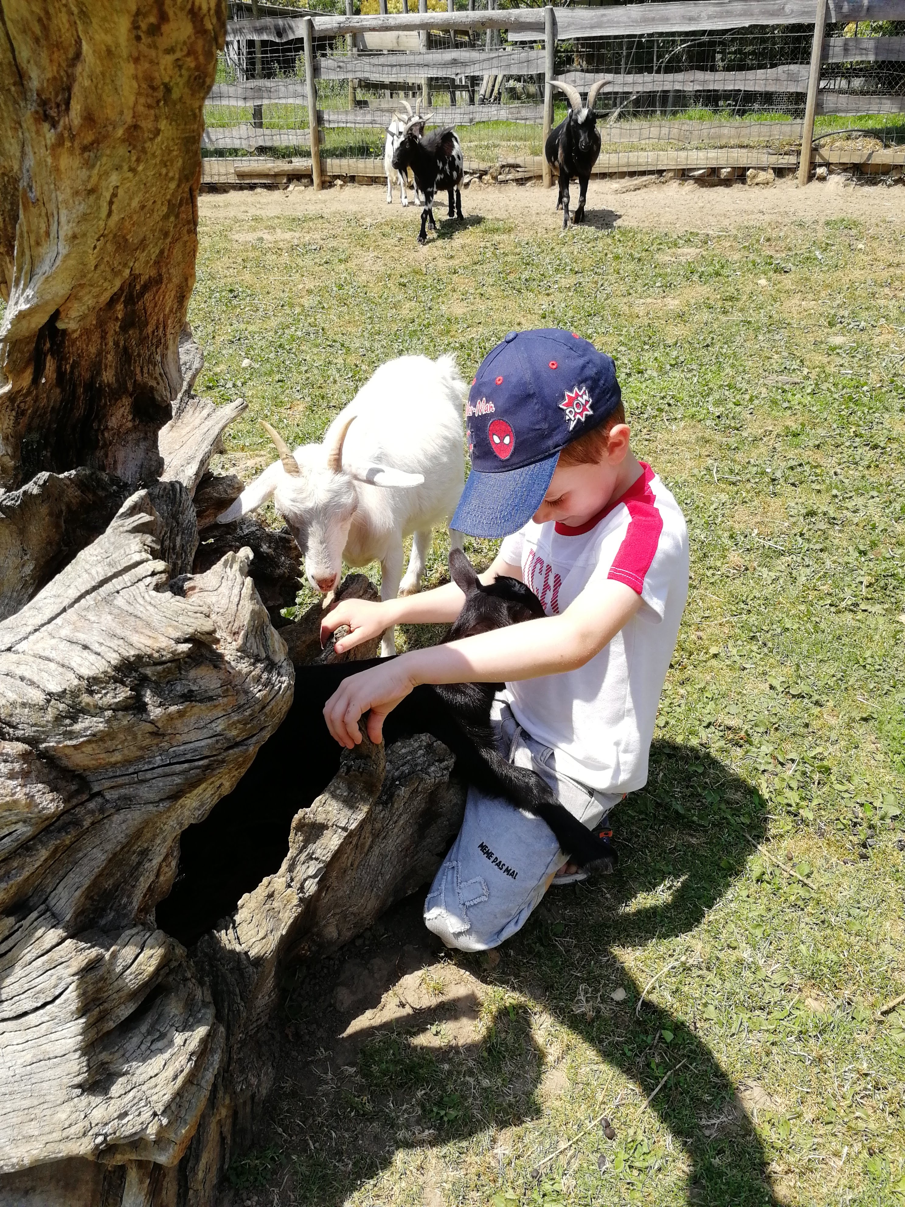 Photo n° 6 de l'avis de Sébastien.a fait le 25/07/2021 à 21:49
