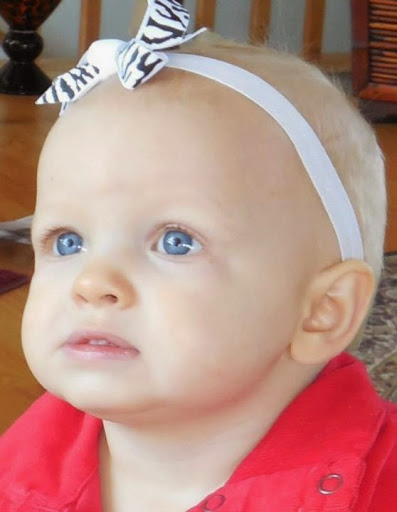 Baby Store «Gulf Coast Baby, Beach & Bike Rentals, Inc.», reviews and photos, 410 150th Ave D, Madeira Beach, FL 33708, USA