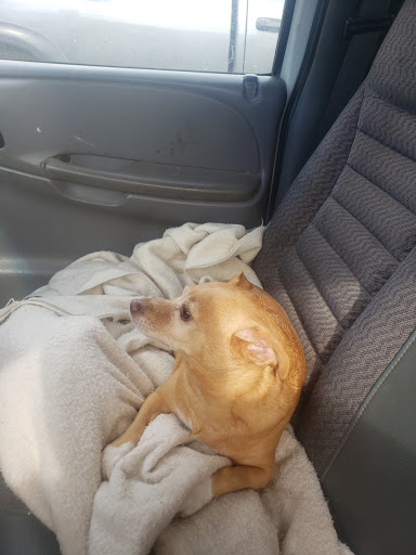 Pet Store «Paw Prints & Fishtails», reviews and photos, 1318 2nd Ave W, Williston, ND 58801, USA