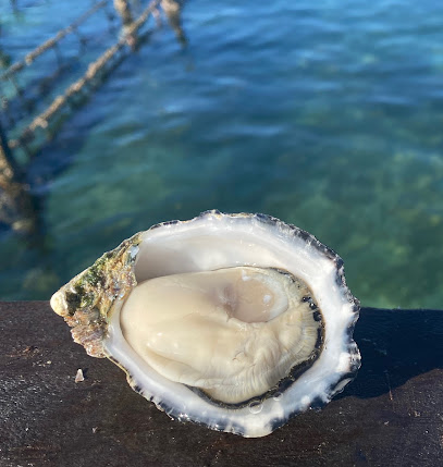 West Coast Oysters - Coffin Bay