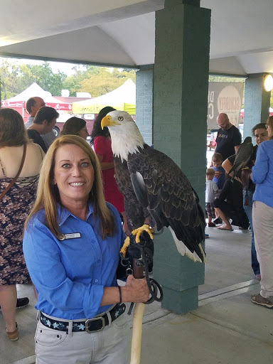 Outdoor Sports Store «Alpine Shop - Kirkwood, MO», reviews and photos, 440 N Kirkwood Rd, Kirkwood, MO 63122, USA