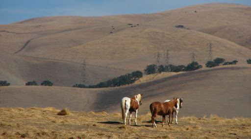 Golf Course «Poppy Ridge Golf Course», reviews and photos, 4280 Greenville Rd, Livermore, CA 94550, USA