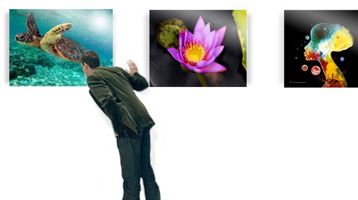 Print Shop «Miami Metal Prints - Sublimation on Aluminum», reviews and photos, 1300 NE 200th St, Miami, FL 33179, USA