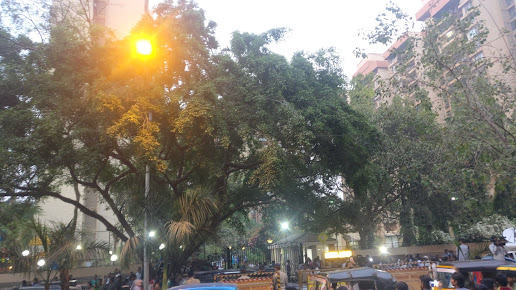 Google Maps image 18