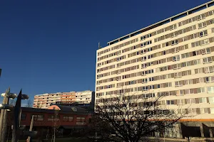 hostel Novodvorska image