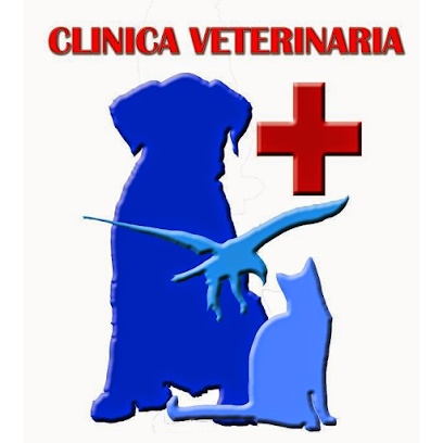 Clinica Veterinaria Flores