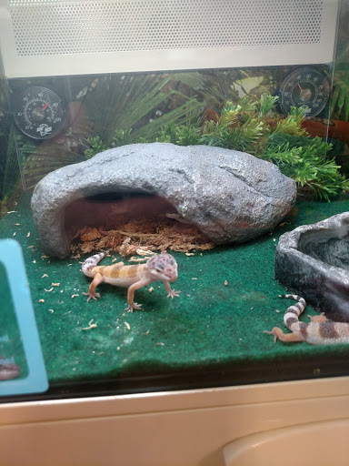 Pet Supply Store «PetSmart», reviews and photos, 5591 TN-153, Hixson, TN 37343, USA