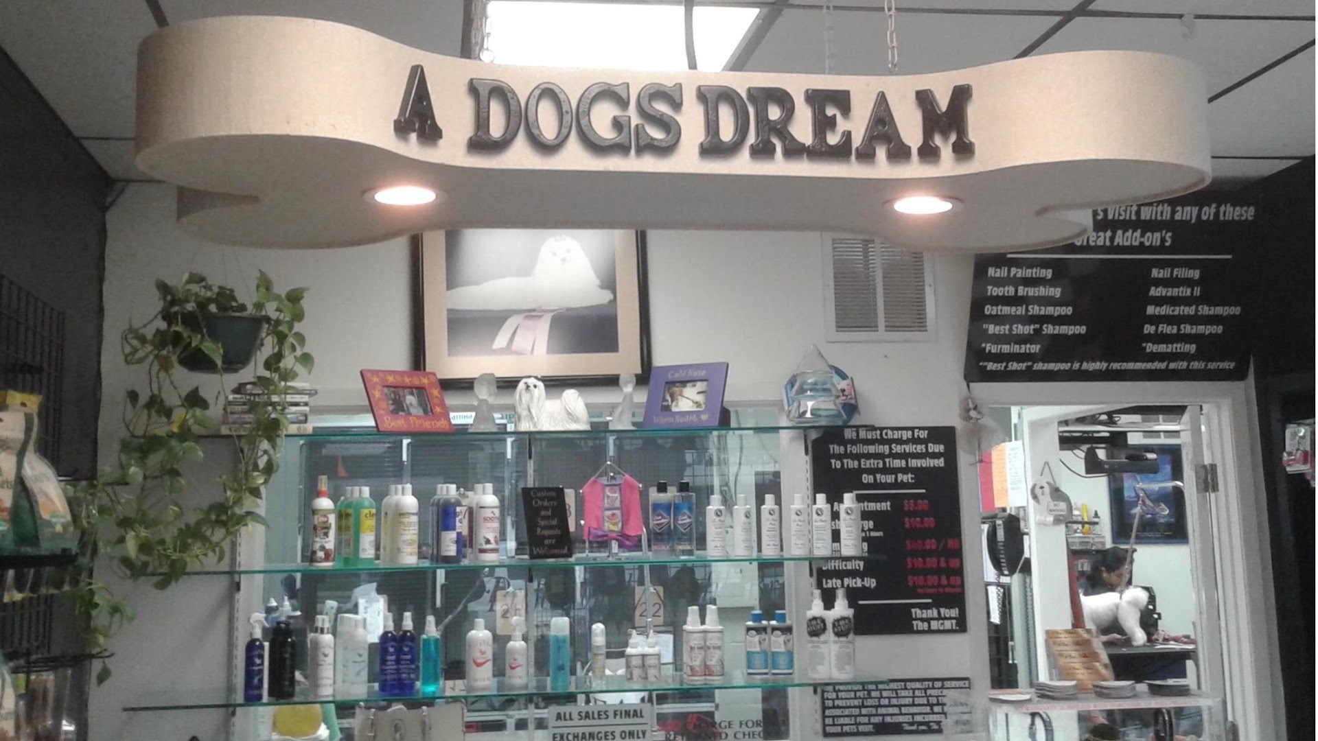 A Dog's Dream - The Pet Salon