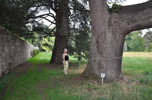 attractions Arboretum du Château de Neuvic d'Ussel Neuvic