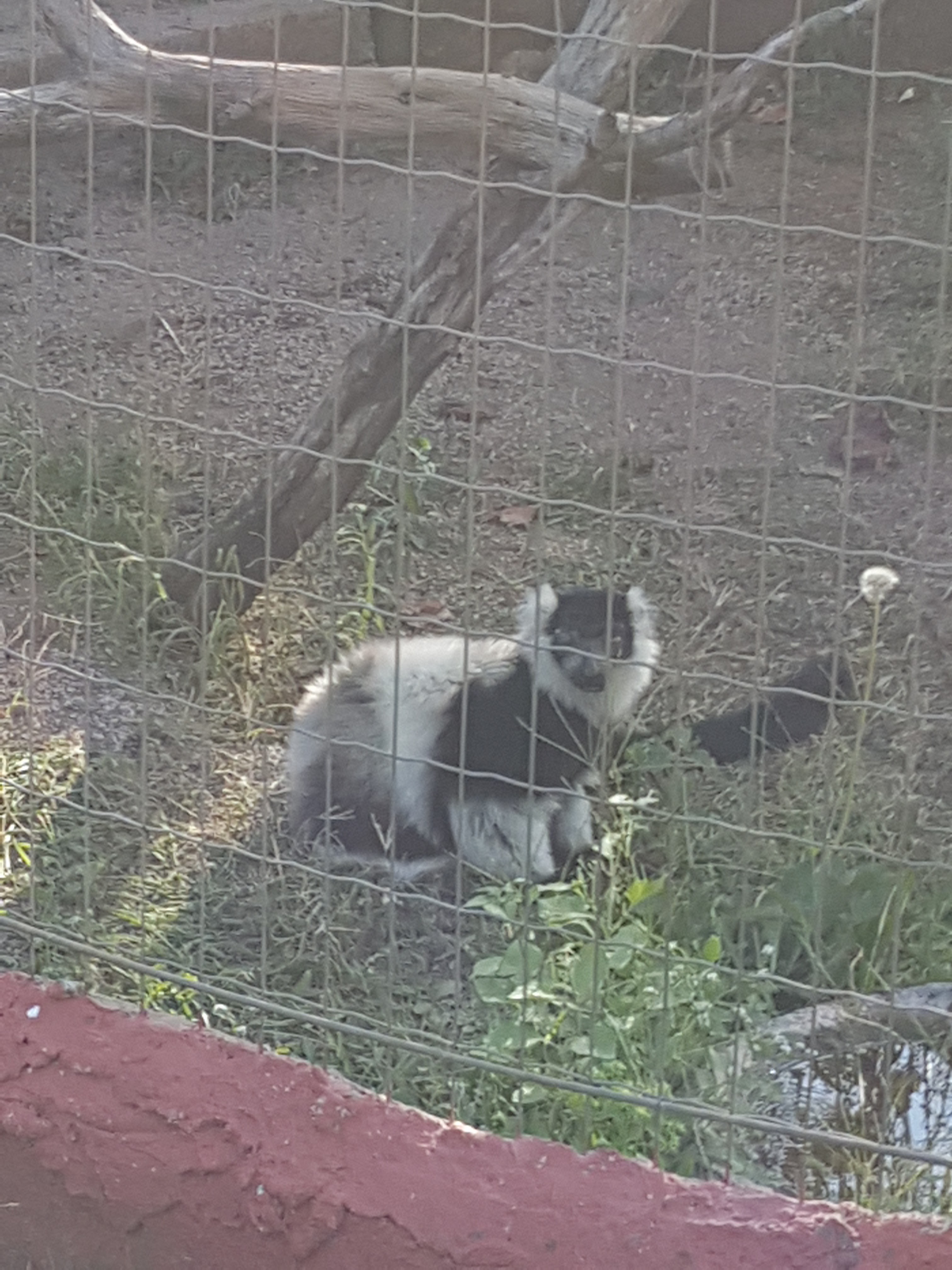 Photo n° 47 de l'avis de Armand.A fait le 09/09/2018 à 19:52