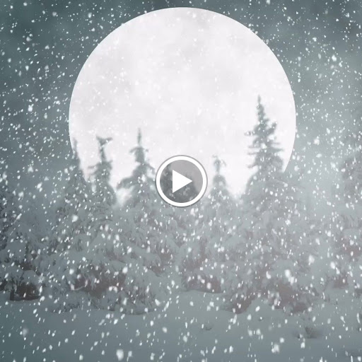 Explore thigh cover up tattoo ideas, creative tattoo ideas in Johnston, available at Brows & Body