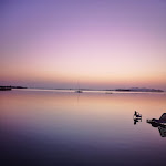 Photo n°2 de l'avis de fabiana.a fait le 06/09/2021 à 05:54 sur le  Lupa Beach à Marsala