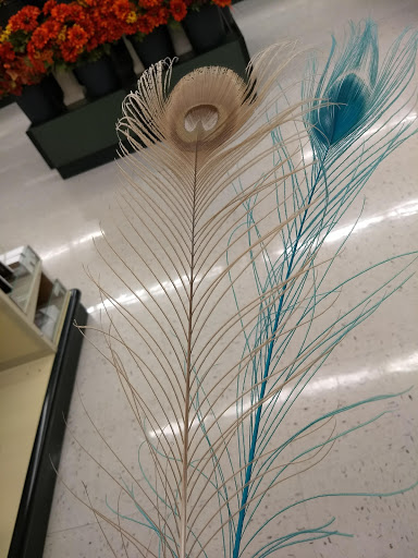 Craft Store «Hobby Lobby», reviews and photos, 3633 Lake Emma Rd, Lake Mary, FL 32746, USA