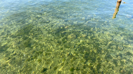 Park «Lundeen Park», reviews and photos, 10020 Lundeen Park Way, Lake Stevens, WA 98258, USA