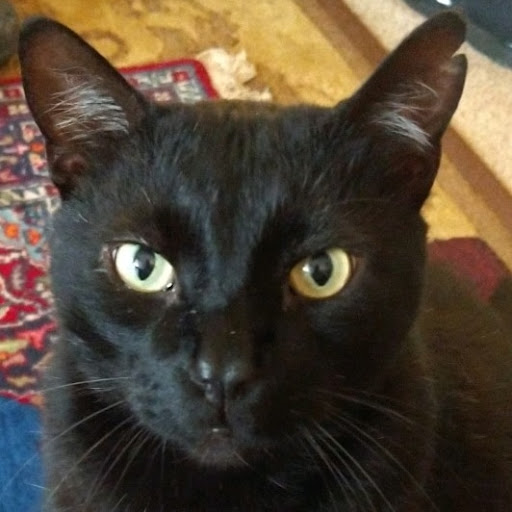 Thrift Store «Second Blessing Thrift Store Inc.», reviews and photos, 2323 Central Ave, Wichita, KS 67214, USA