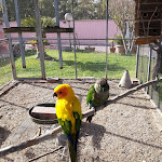 Photo n°1 de l'avis de Antonio.o fait le 29/12/2017 à 10:05 sur le  Romeo's Village à Latina