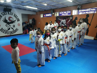 Escuela de Karate, Tae Kwon Do y Robótica