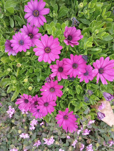 Shopping Mall «Rosecrans Shopping Center», reviews and photos, 3555 Rosecrans St, San Diego, CA 92110, USA