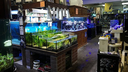 Aquarium Shop «Exotic Aquariums», reviews and photos, 7399 Bird Rd, Miami, FL 33155, USA