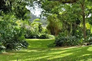 Nuʻuanu Valley Park image