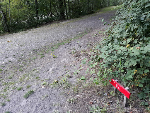 Golf Course «Riverside Disc Golf Course», reviews and photos, 7926 Riverside Rd E, Sumner, WA 98390, USA