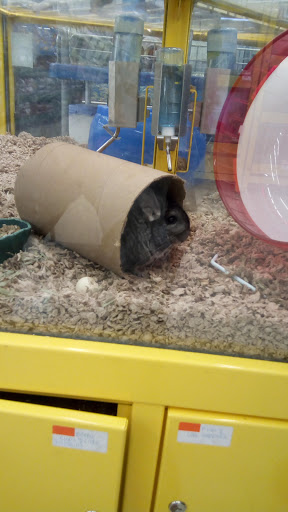 Pet Supply Store «Pet Supplies Plus», reviews and photos, 14839 Detroit Ave, Lakewood, OH 44107, USA