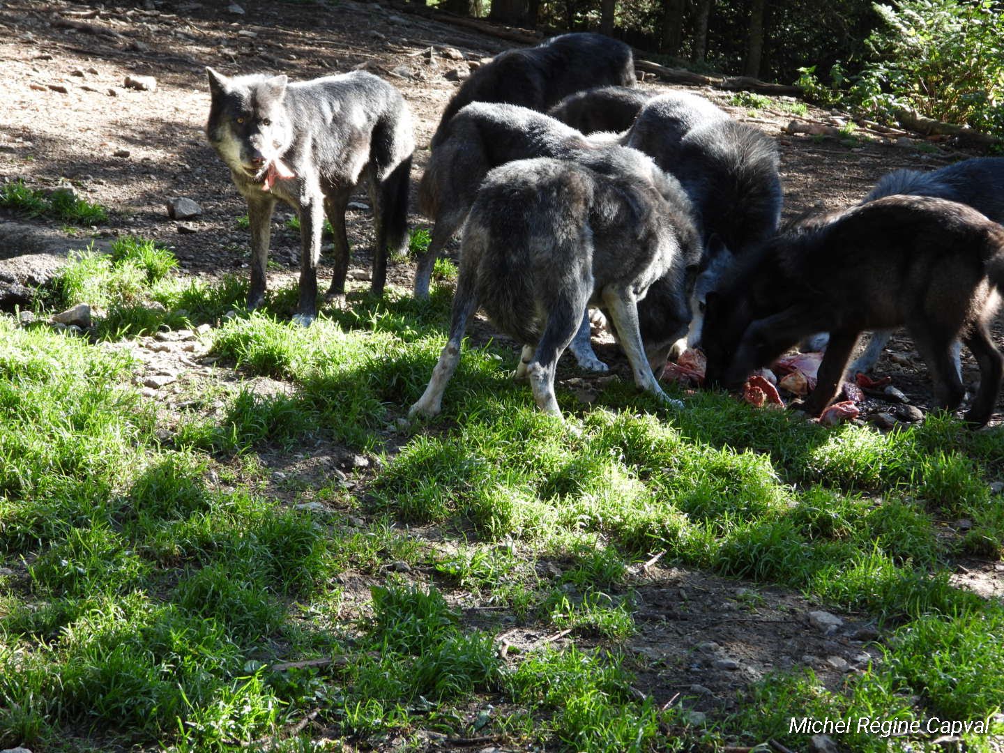 Photo n° 12 de l'avis de michel.a fait le 03/10/2019 à 13:25