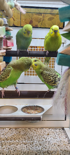 Pet Supply Store «PetSmart», reviews and photos, 2140 17th St, Santa Ana, CA 92705, USA