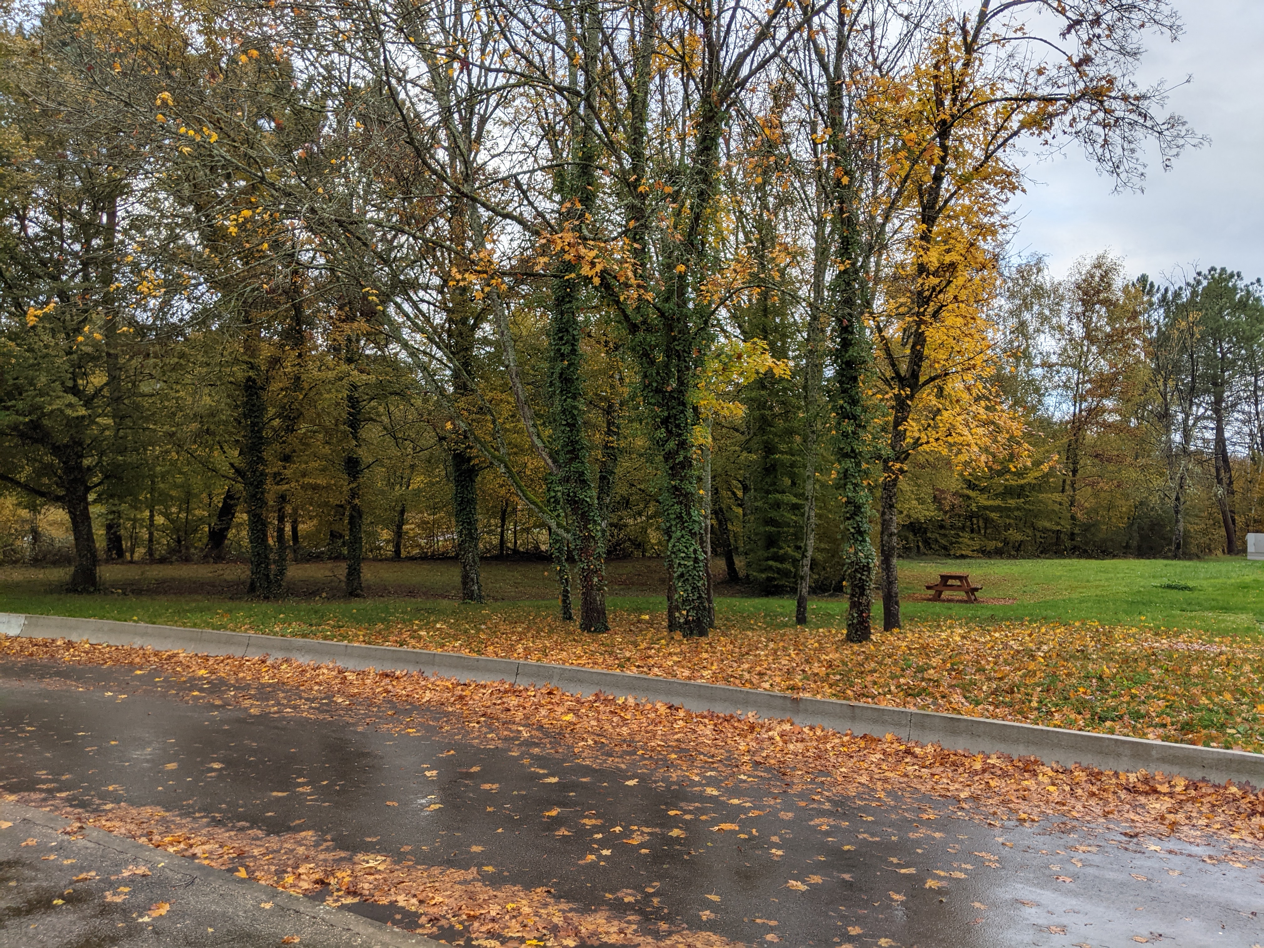 Photo n° 3 de l'avis de Marcin. fait le 31/10/2021 à 10:06