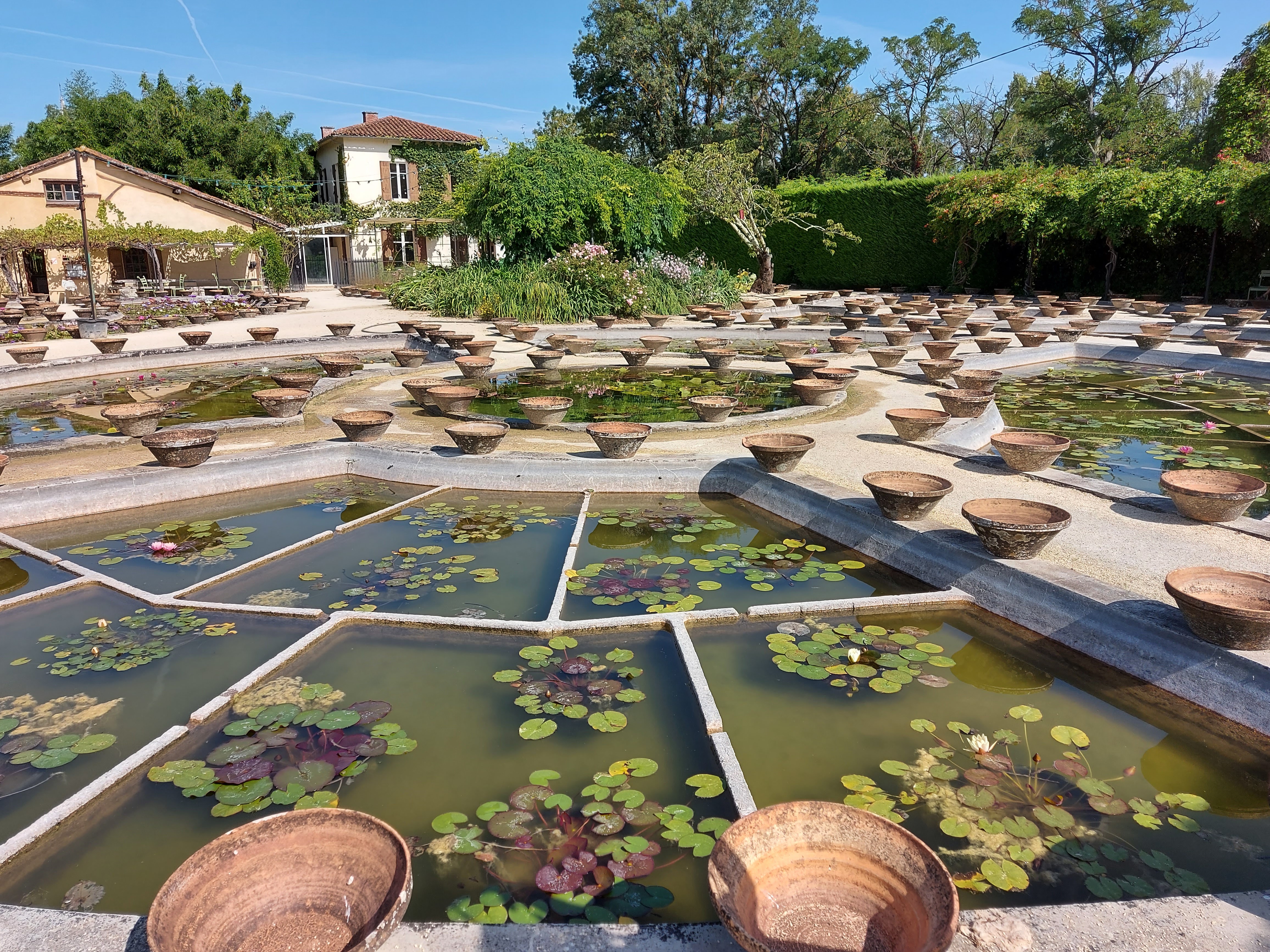 Photo n° 13 de l'avis de Brigitte.o fait le 02/09/2021 à 08:01