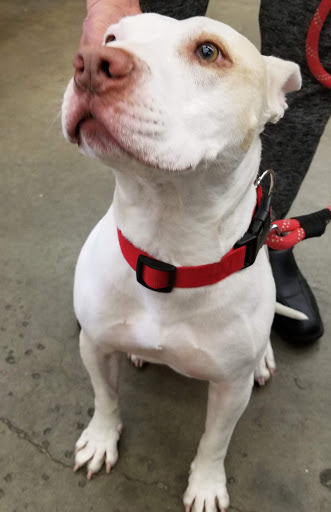 Pet Supply Store «Western Ranch & Pet Supply», reviews and photos, 103 Aegean Way, Vacaville, CA 95687, USA