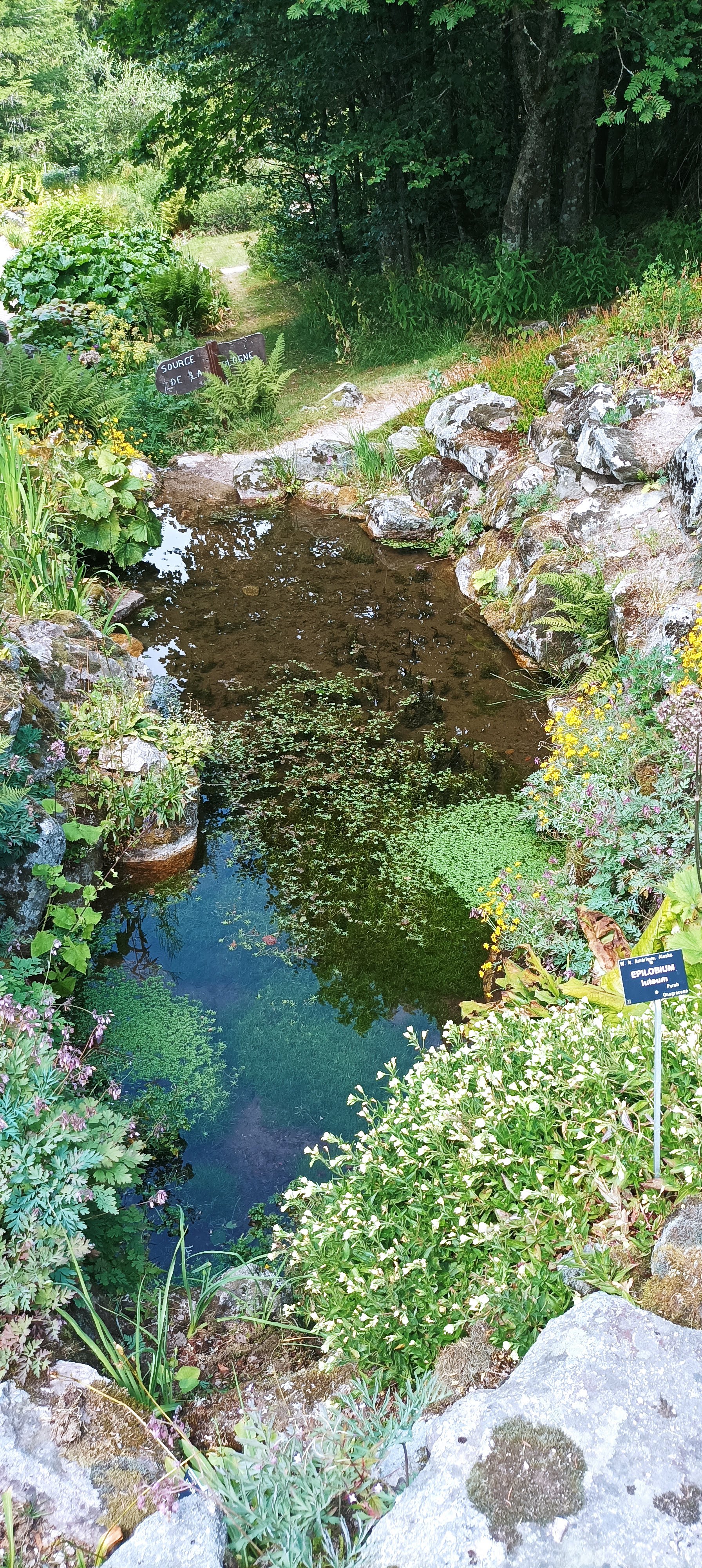 Photo n° 2 de l'avis de Stephanie.a fait le 11/08/2022 à 21:26