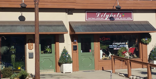 Lilypots Fresh Flowers and Gifts, 605 W Main St, Lake Geneva, WI 53147, USA, 