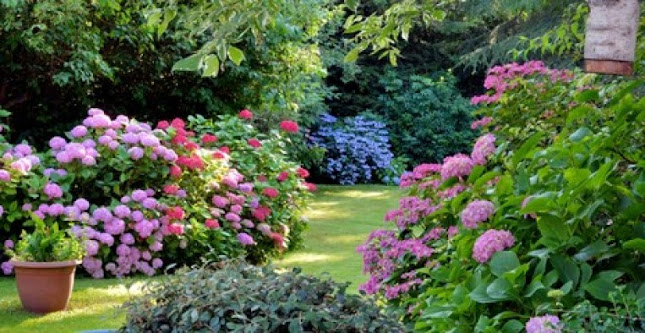 MéHri Garden Kft | Kertészet Pilisvörösvár