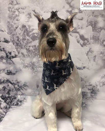 Pet Supply Store «Animal House Grooming & Quality», reviews and photos, 229 W Absecon Blvd, Absecon, NJ 08201, USA